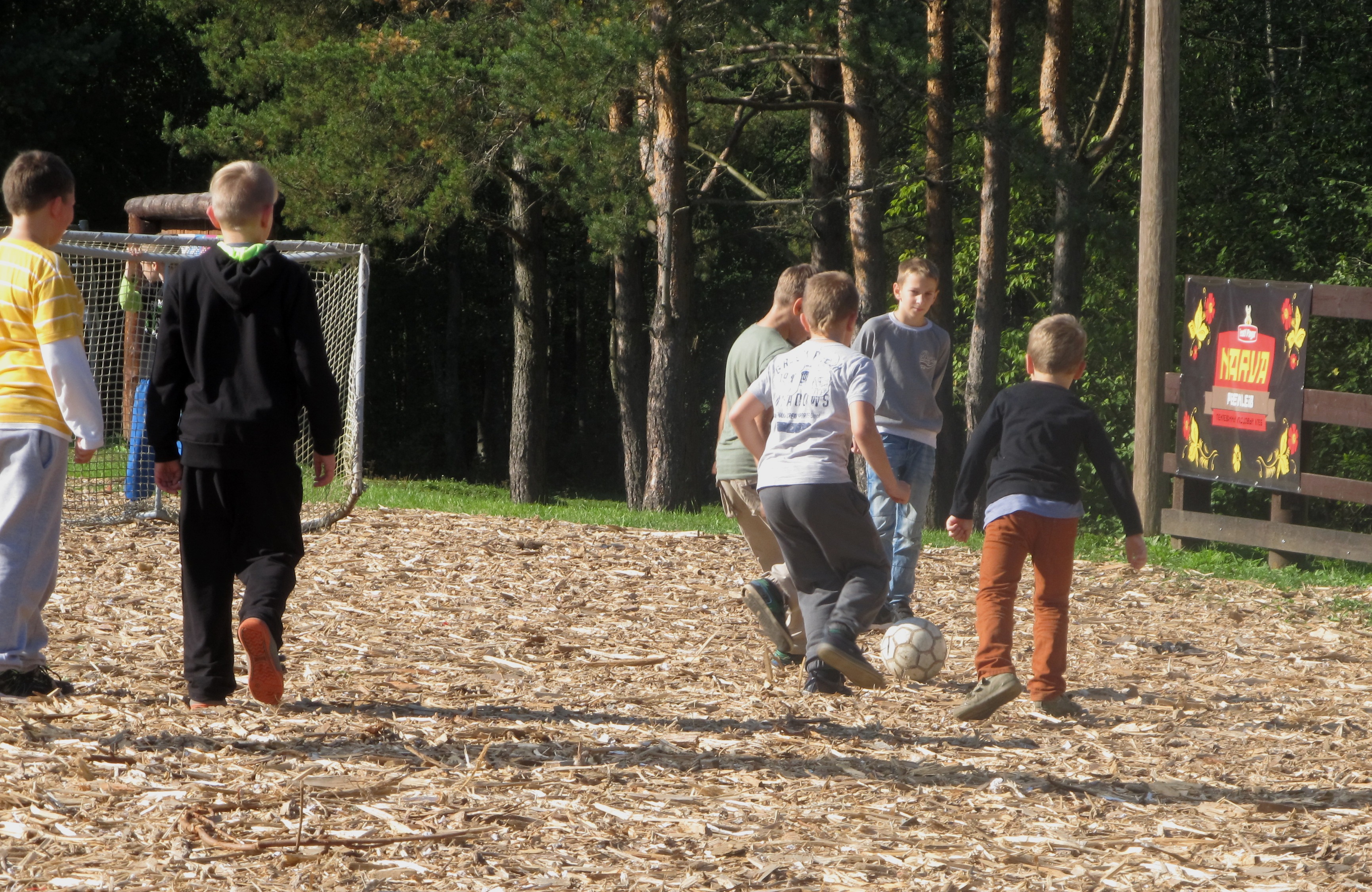 Tervise nädala Paju koolis 